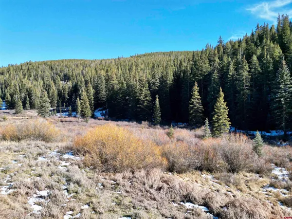 $170,000 | 1 River Street, Pitkin, CO 81241