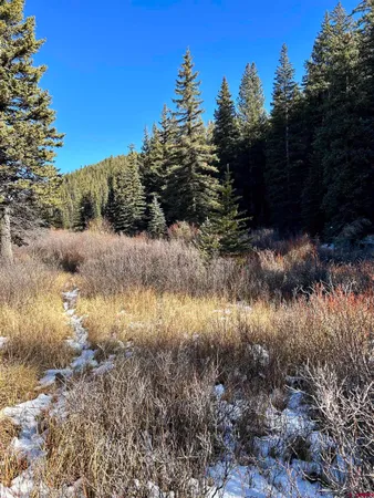 $170,000 | 1 River Street, Pitkin, CO 81241