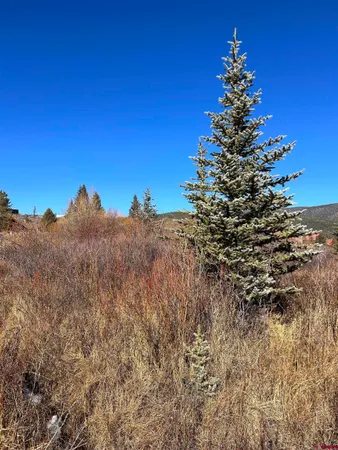 $170,000 | 1 River Street, Pitkin, CO 81241