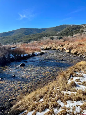 a view of a lake with lots of trees
