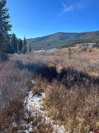 $170,000 | 1 River Street, Pitkin, CO 81241