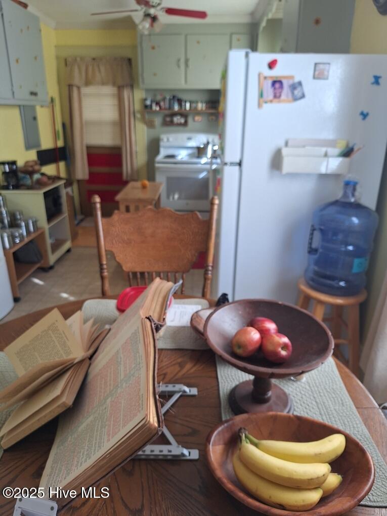 206 North McCaskey Road Williamston, NC 27892 - Photo 12 of 26 Kitchen 2