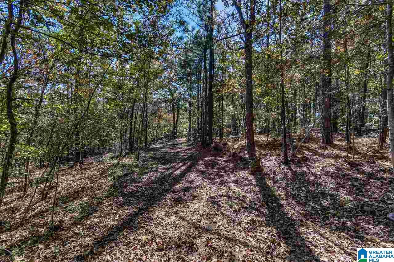 384 Wolf Pond Road, Unit 1 Talladega, AL 35160 - Photo 16 of 26