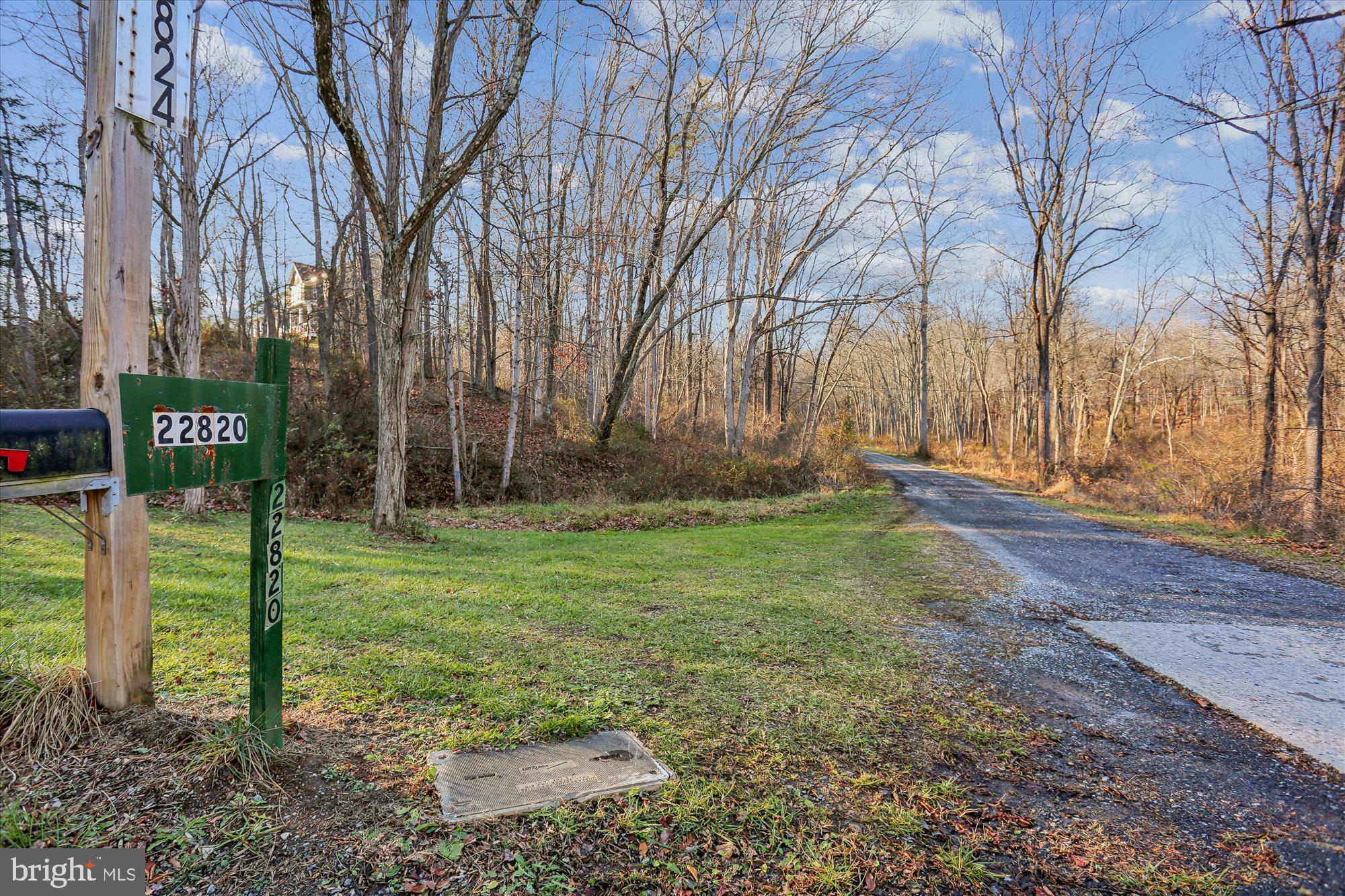 22820 Shiloh Church Road Boyds, MD 20841 - Photo 11 of 42 Serene pathway through wooded landscape.
