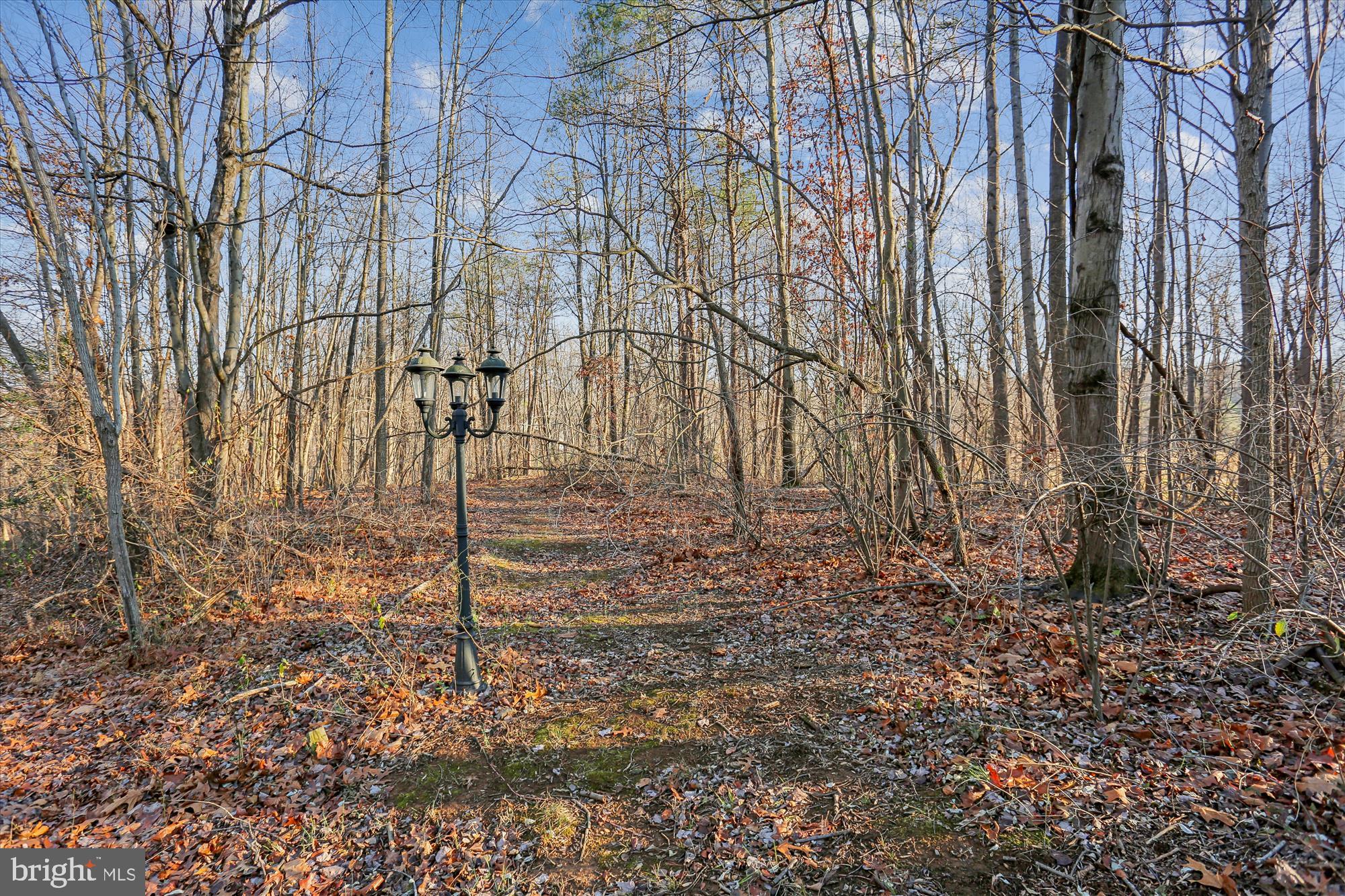 22820 Shiloh Church Road Boyds, MD 20841 - Photo 40 of 42 Whimsical path through serene woodlands.