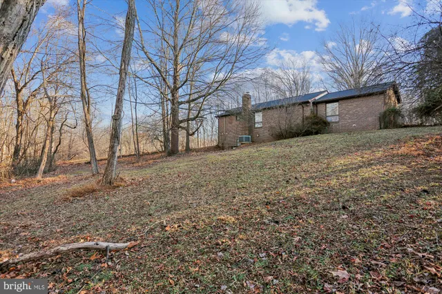 a view of a yard with large trees