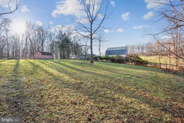 a view of a field with large trees