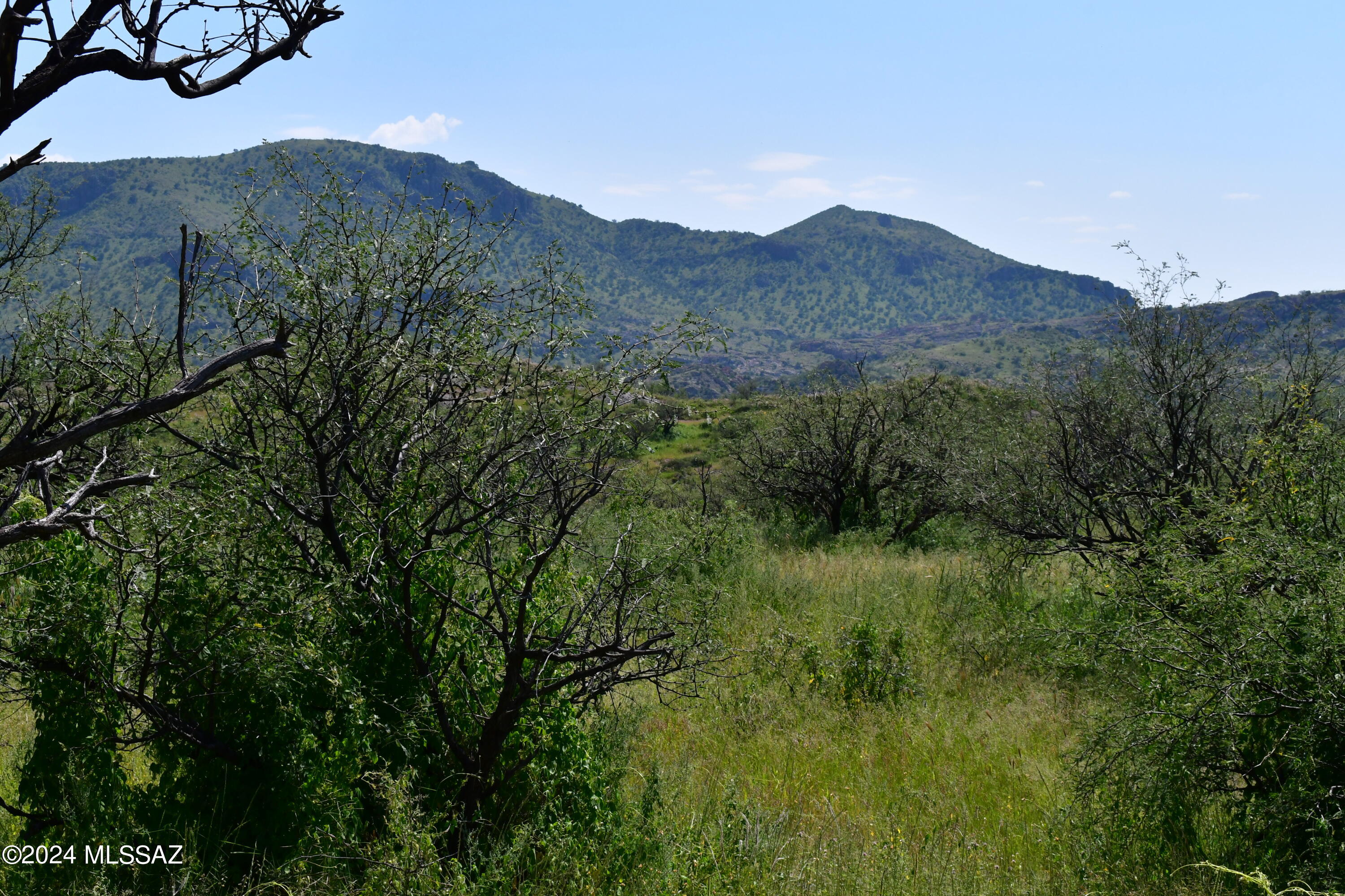 Tbd Tbd Mesquite Trail, Unit 132 Rio Rico, AZ 85648 - Photo 6 of 23