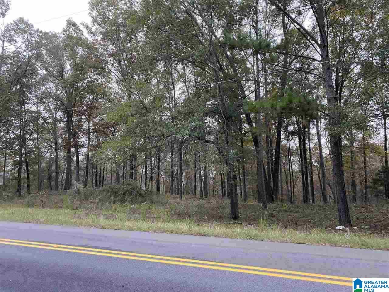 975 Deer Trace Road, Unit 975 Pell City, AL 35125 - Photo 2 of 5