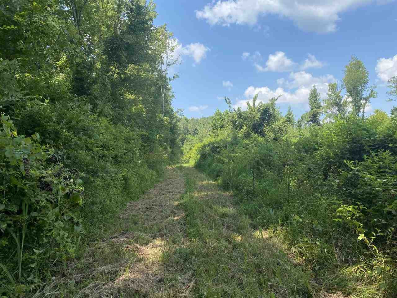0 Stroud Road Durant, MS 39063 - Photo 2 of 30 Photo 2