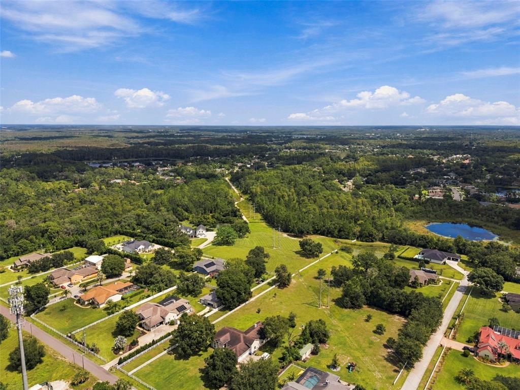 7702 Rosa Maria Lane Odessa, FL 33556 - Photo 3 of 17 Gallery Image 3