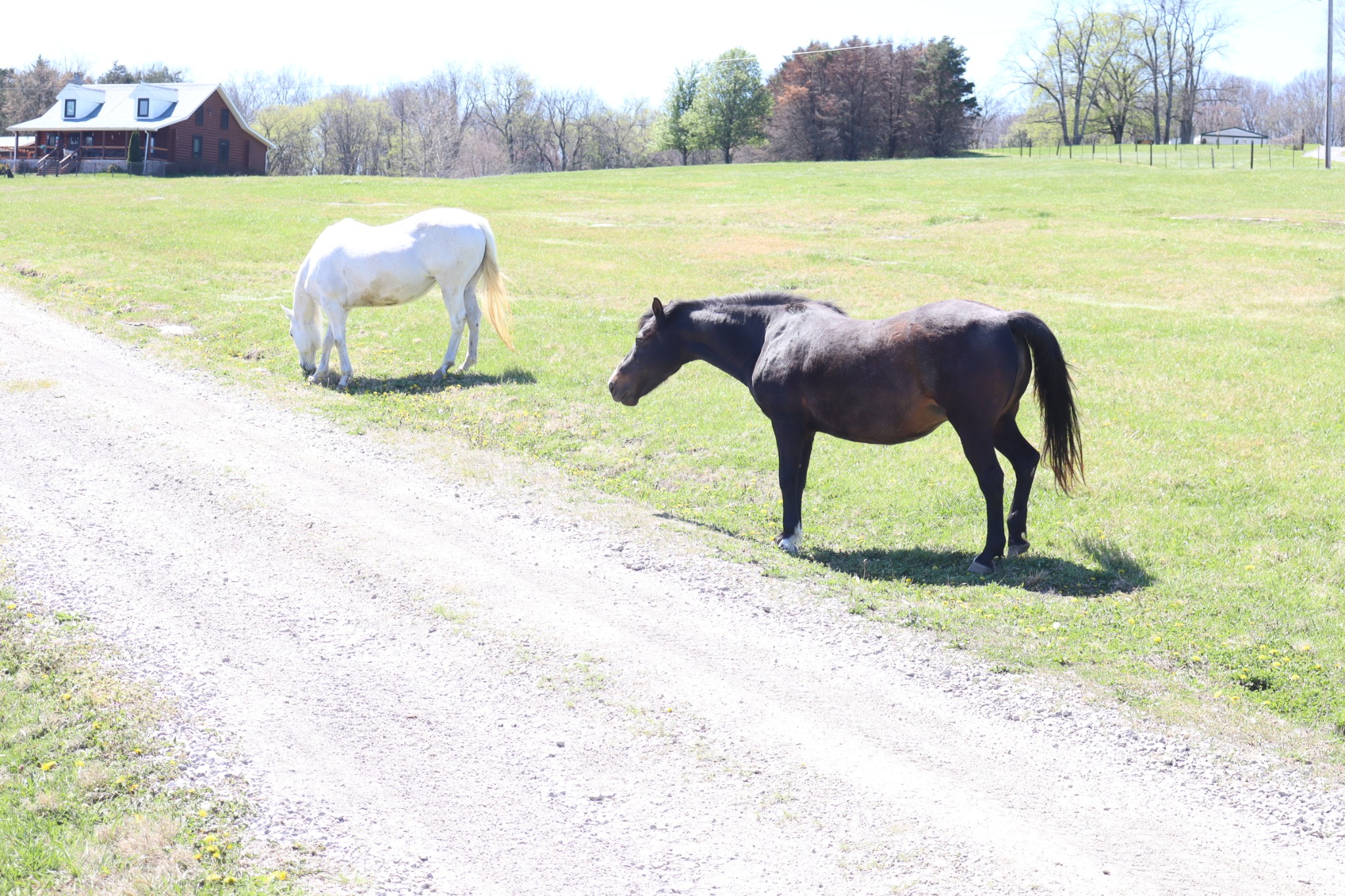 642 Beach Bottom Road Watertown, TN 37184 - Photo 19 of 95