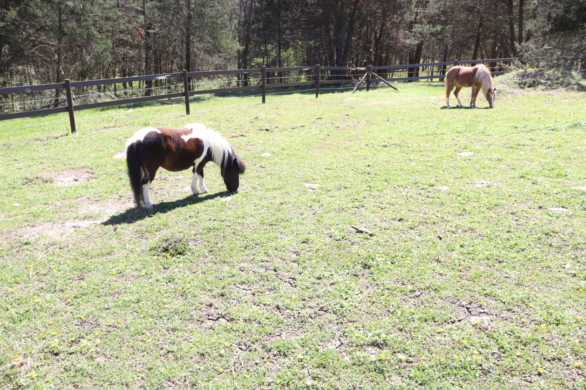 642 Beach Bottom Road Watertown, TN 37184 - Photo 30 of 95