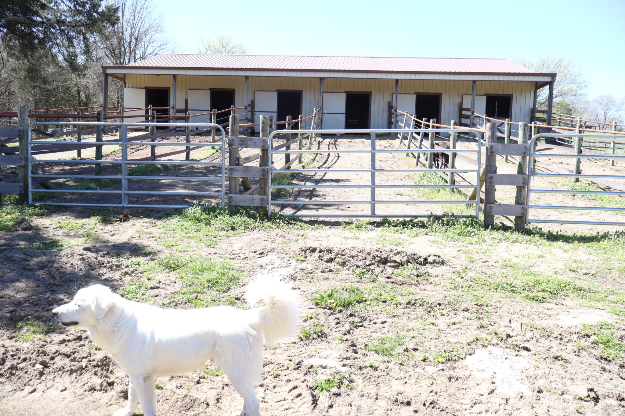 642 Beach Bottom Road Watertown, TN 37184 - Photo 31 of 95