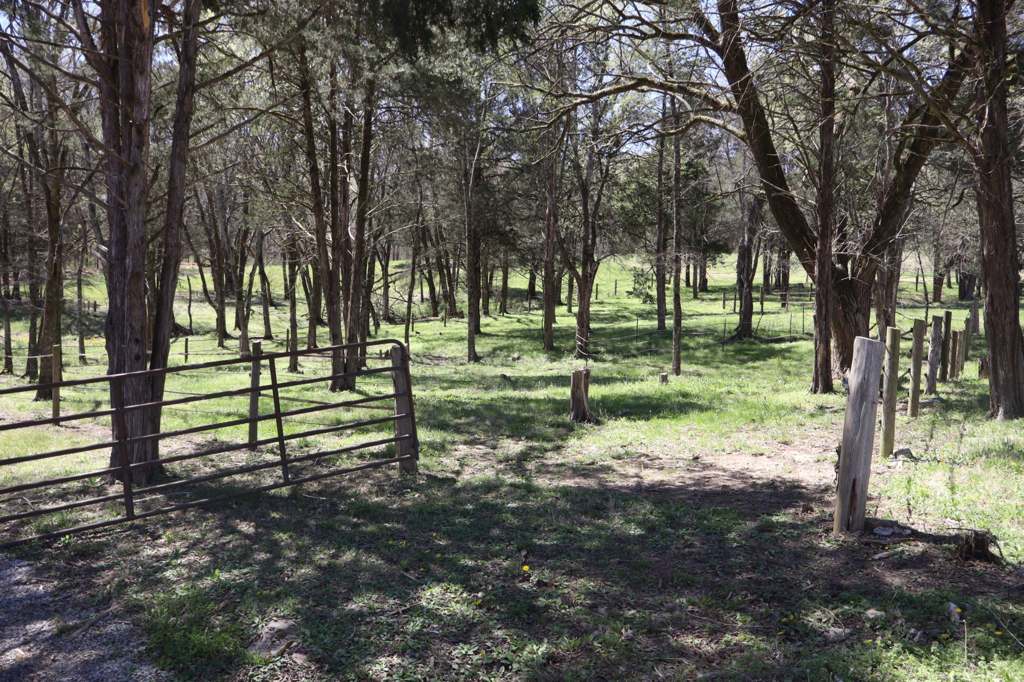 642 Beach Bottom Road Watertown, TN 37184 - Photo 35 of 95