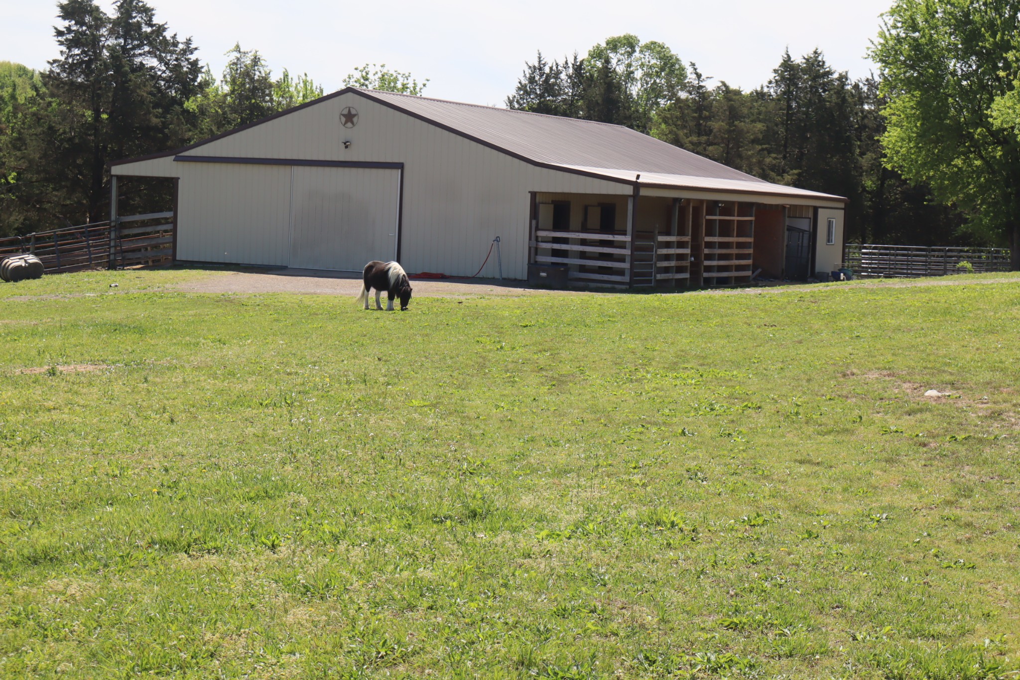 642 Beach Bottom Road Watertown, TN 37184 - Photo 60 of 95