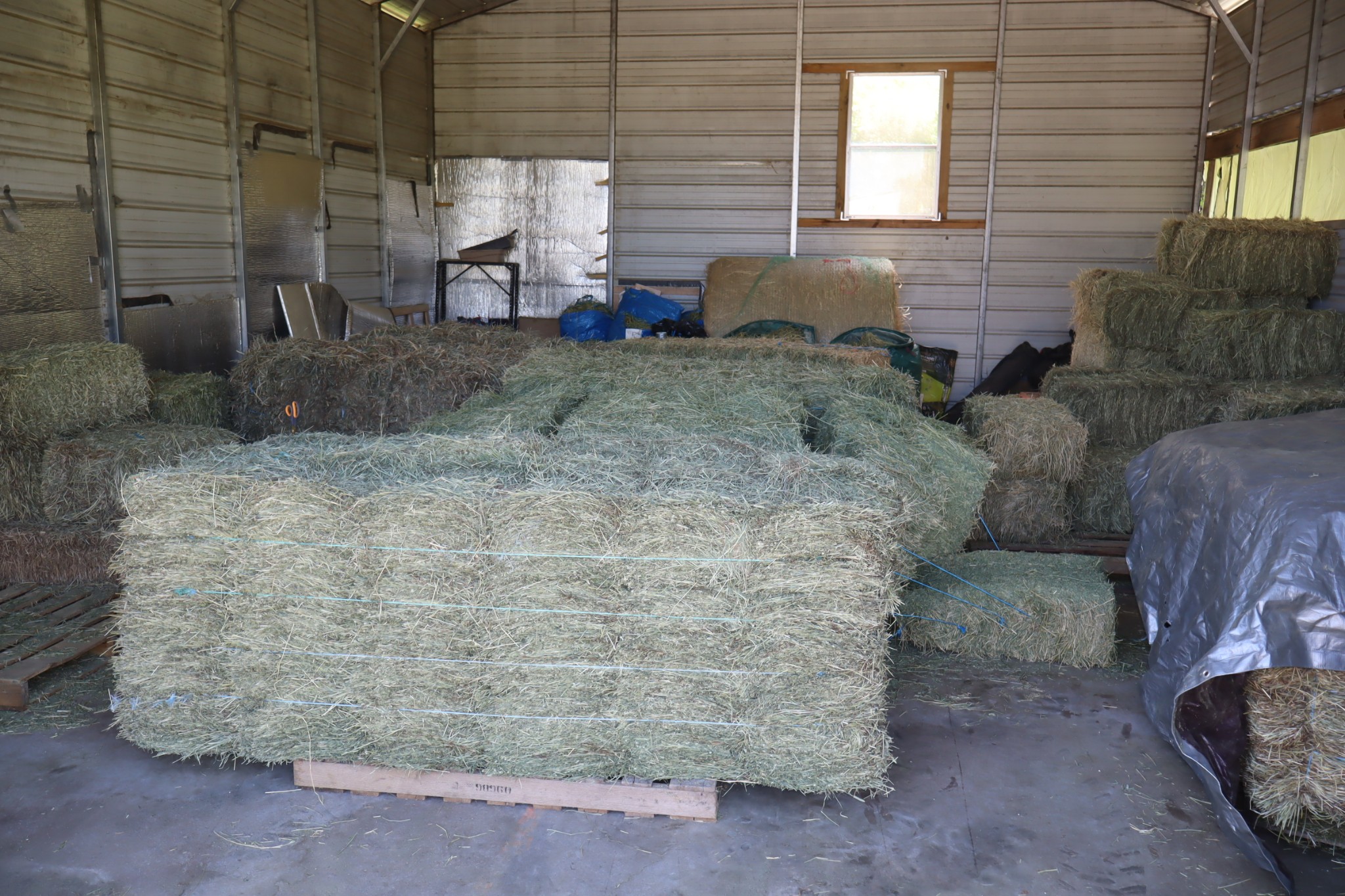 642 Beach Bottom Road Watertown, TN 37184 - Photo 81 of 95