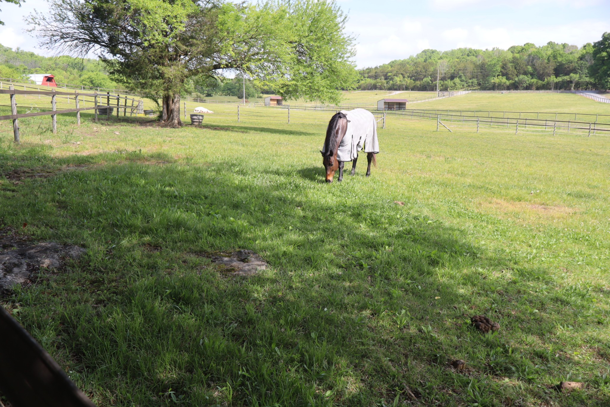 642 Beach Bottom Road Watertown, TN 37184 - Photo 88 of 95