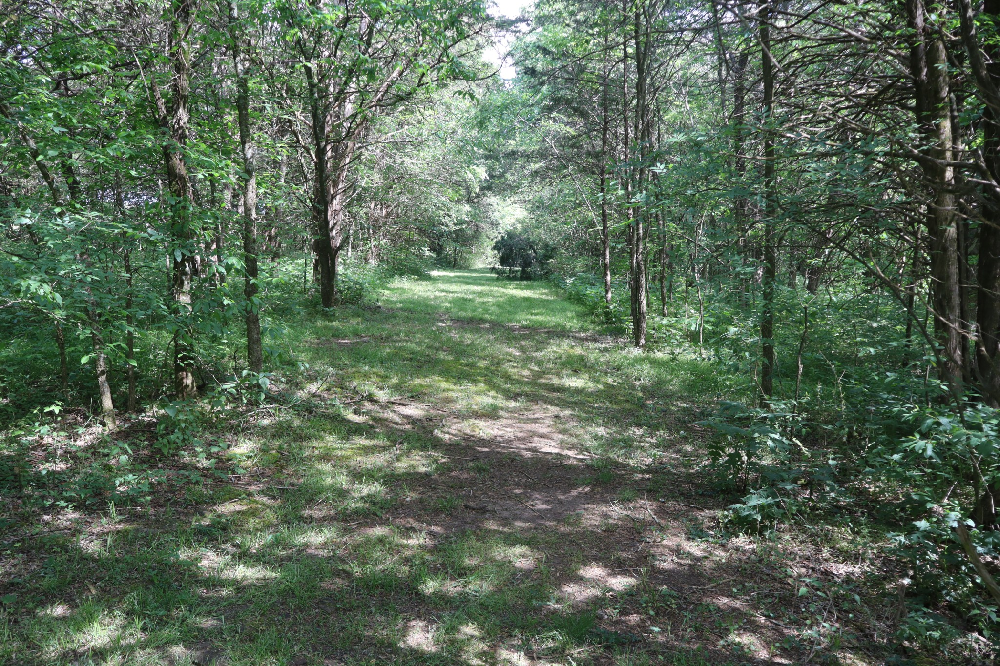 642 Beach Bottom Road Watertown, TN 37184 - Photo 90 of 95