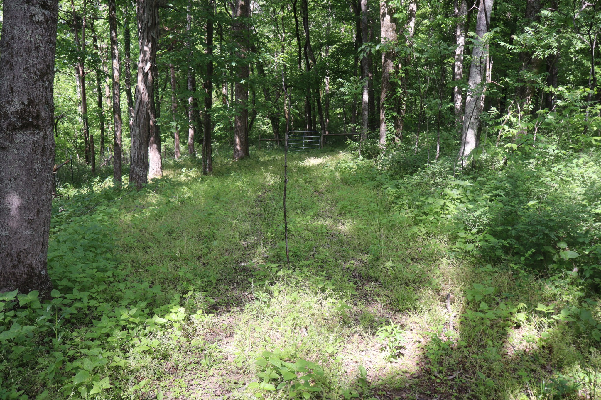642 Beach Bottom Road Watertown, TN 37184 - Photo 91 of 95
