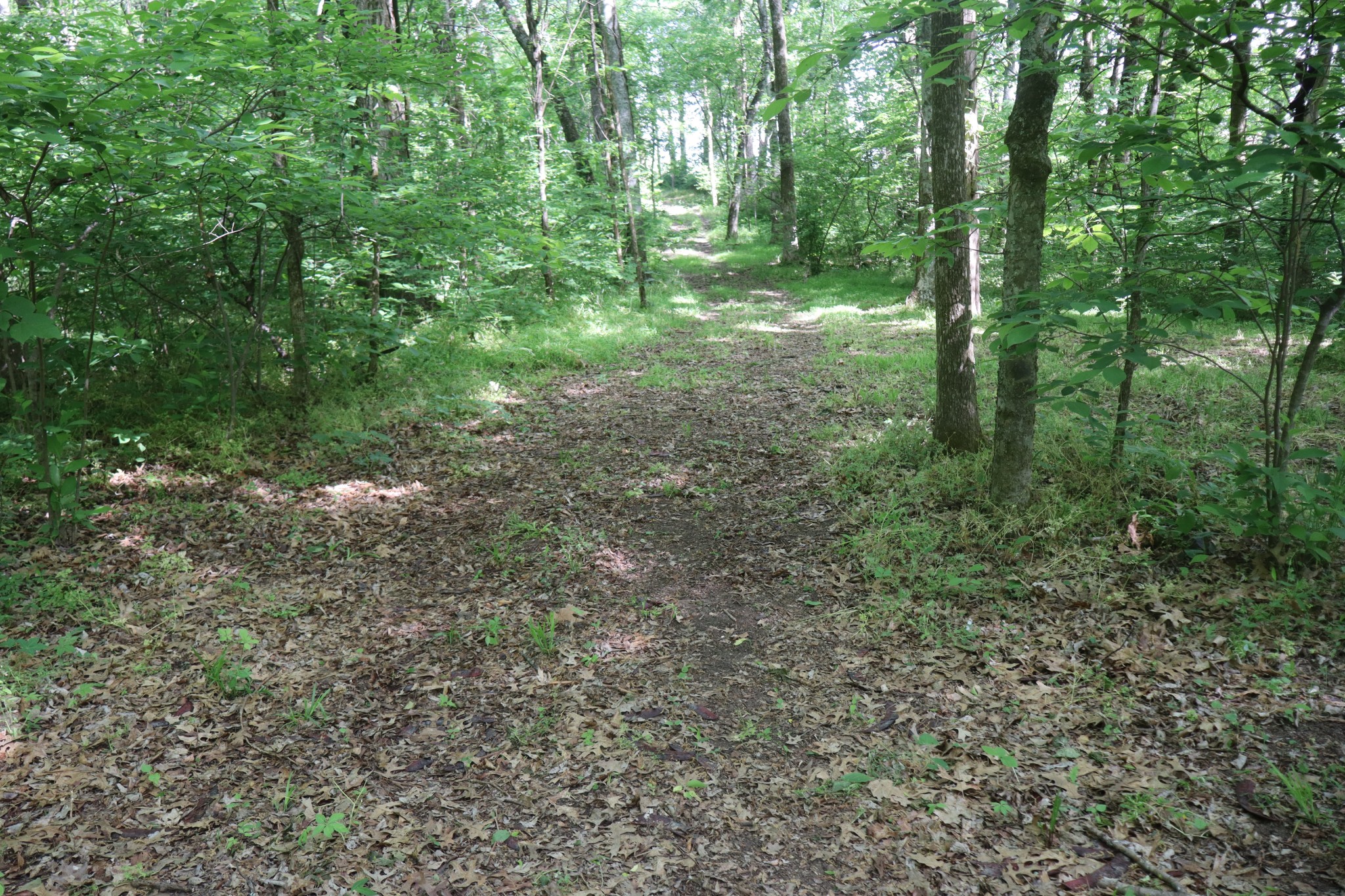 642 Beach Bottom Road Watertown, TN 37184 - Photo 92 of 95