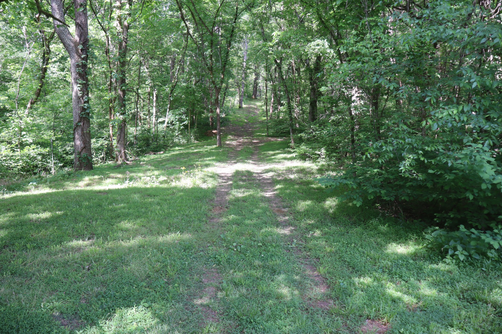 642 Beach Bottom Road Watertown, TN 37184 - Photo 93 of 95
