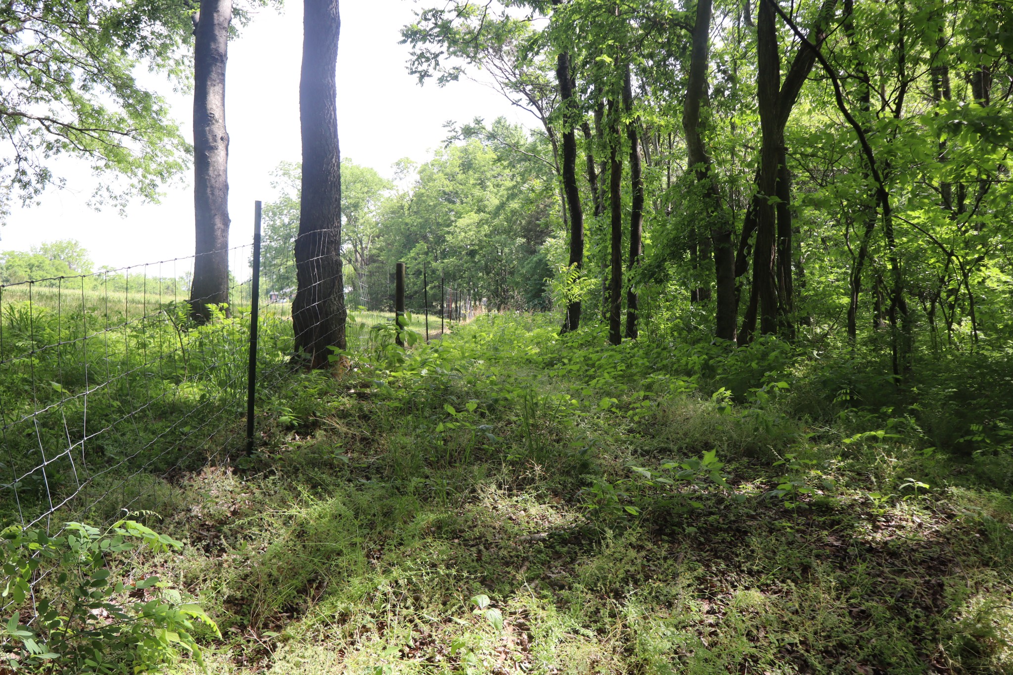 642 Beach Bottom Road Watertown, TN 37184 - Photo 95 of 95
