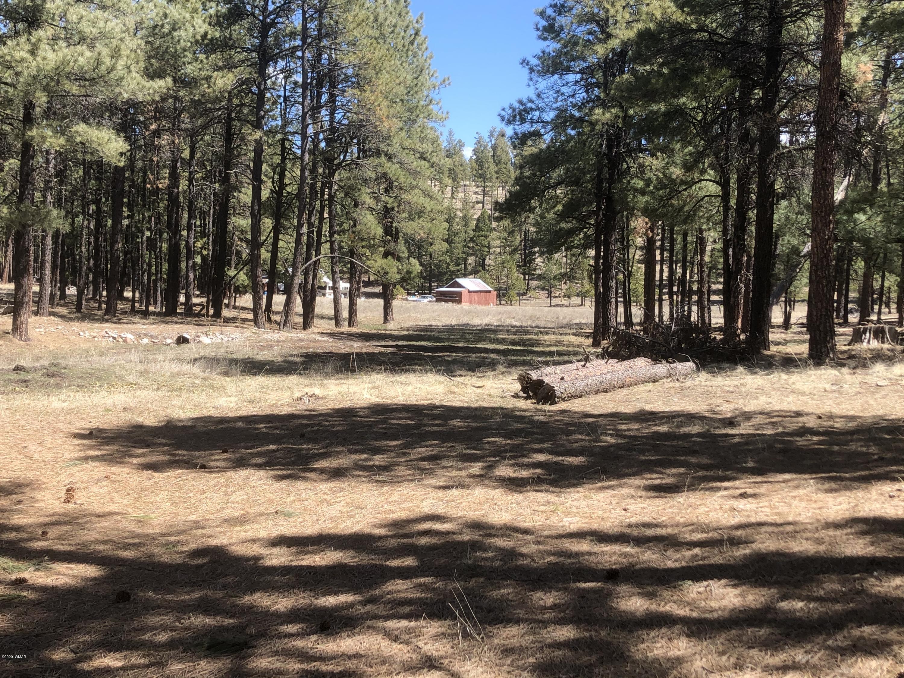 2 Cr 2115 Alpine Az 85920 Alpine, AZ 85920 - Photo 20 of 39