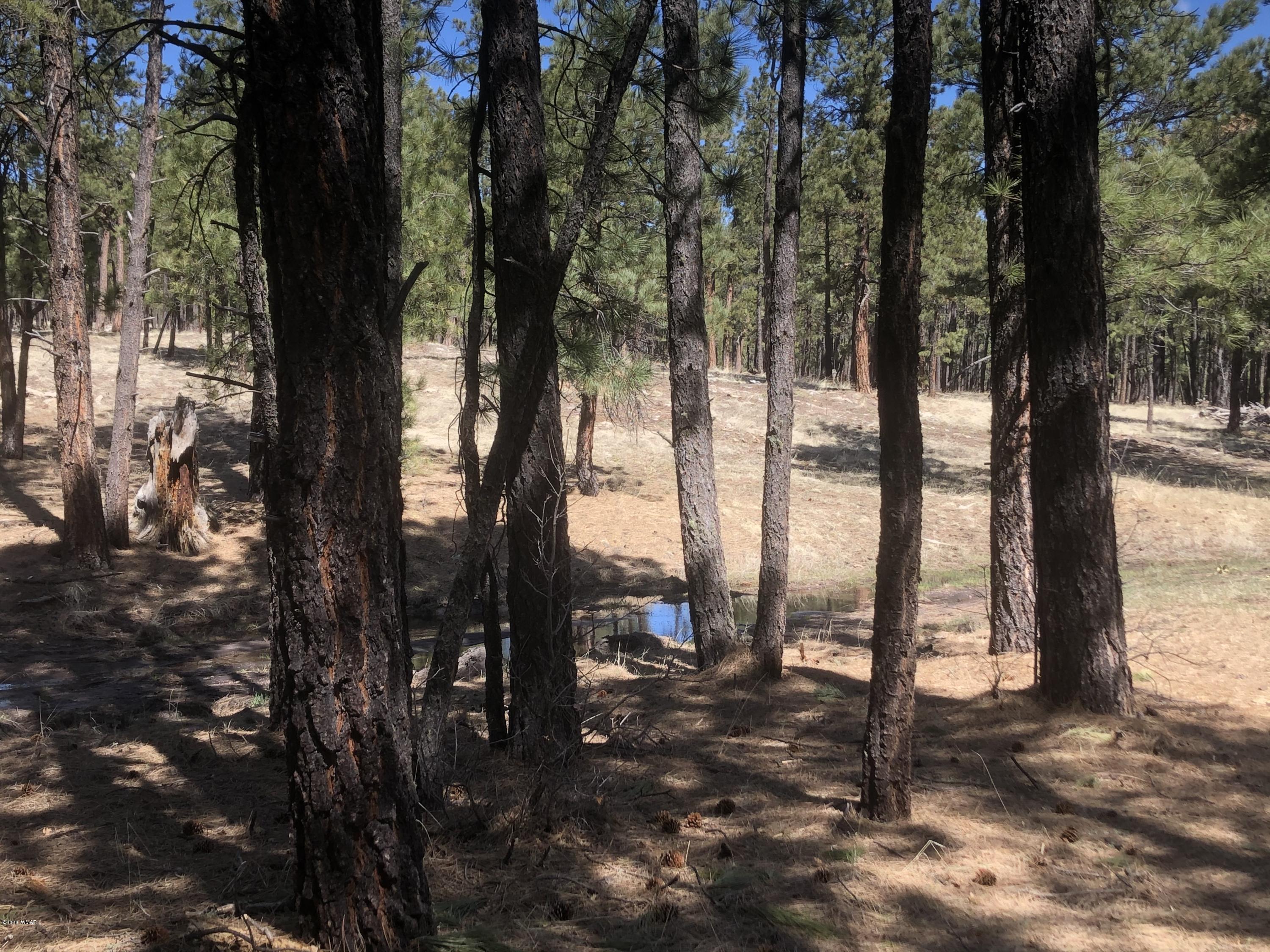 2 Cr 2115 Alpine Az 85920 Alpine, AZ 85920 - Photo 22 of 39