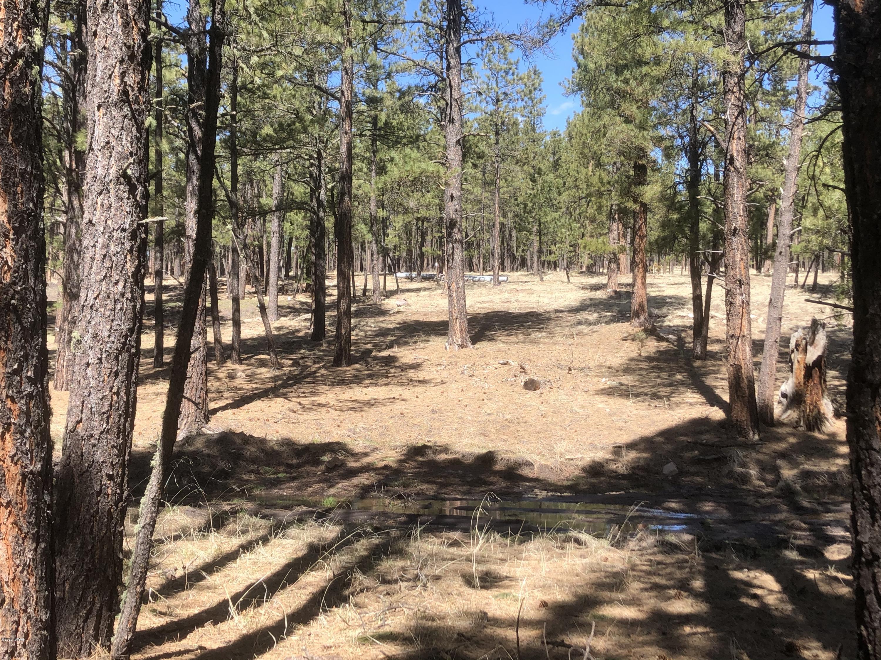 2 Cr 2115 Alpine Az 85920 Alpine, AZ 85920 - Photo 23 of 39