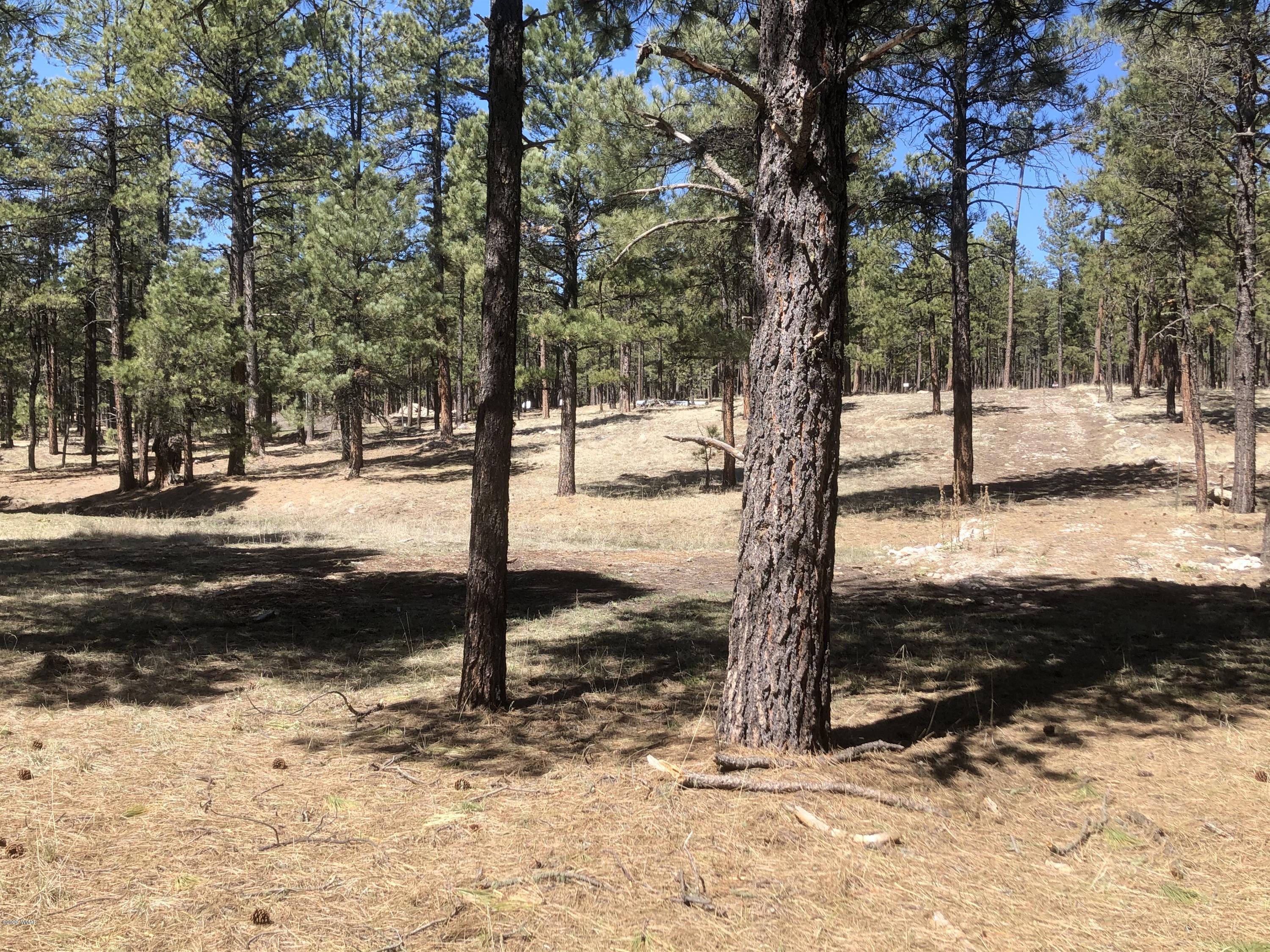 2 Cr 2115 Alpine Az 85920 Alpine, AZ 85920 - Photo 25 of 39