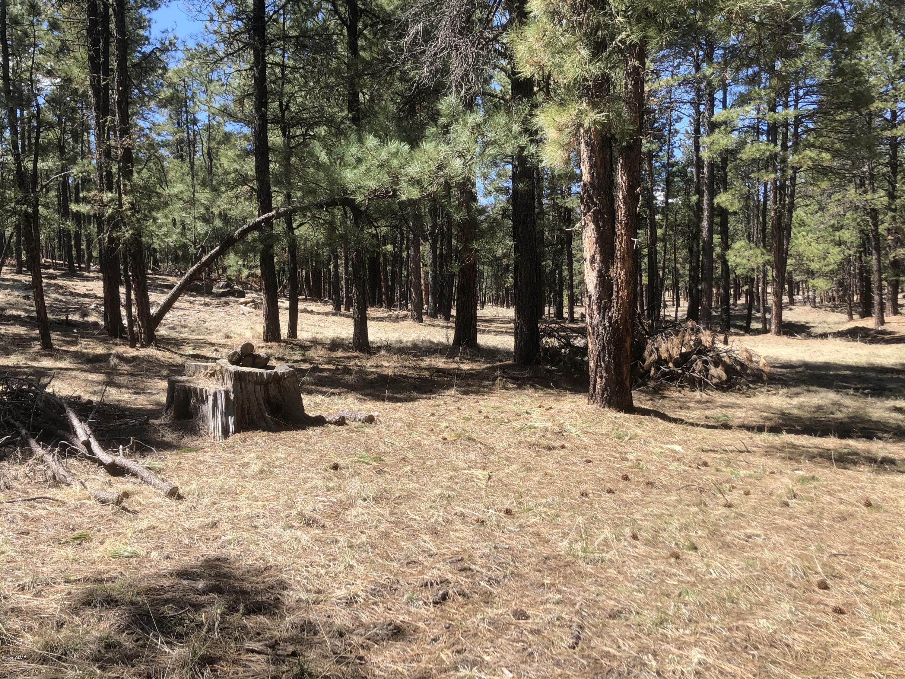 2 Cr 2115 Alpine Az 85920 Alpine, AZ 85920 - Photo 26 of 39