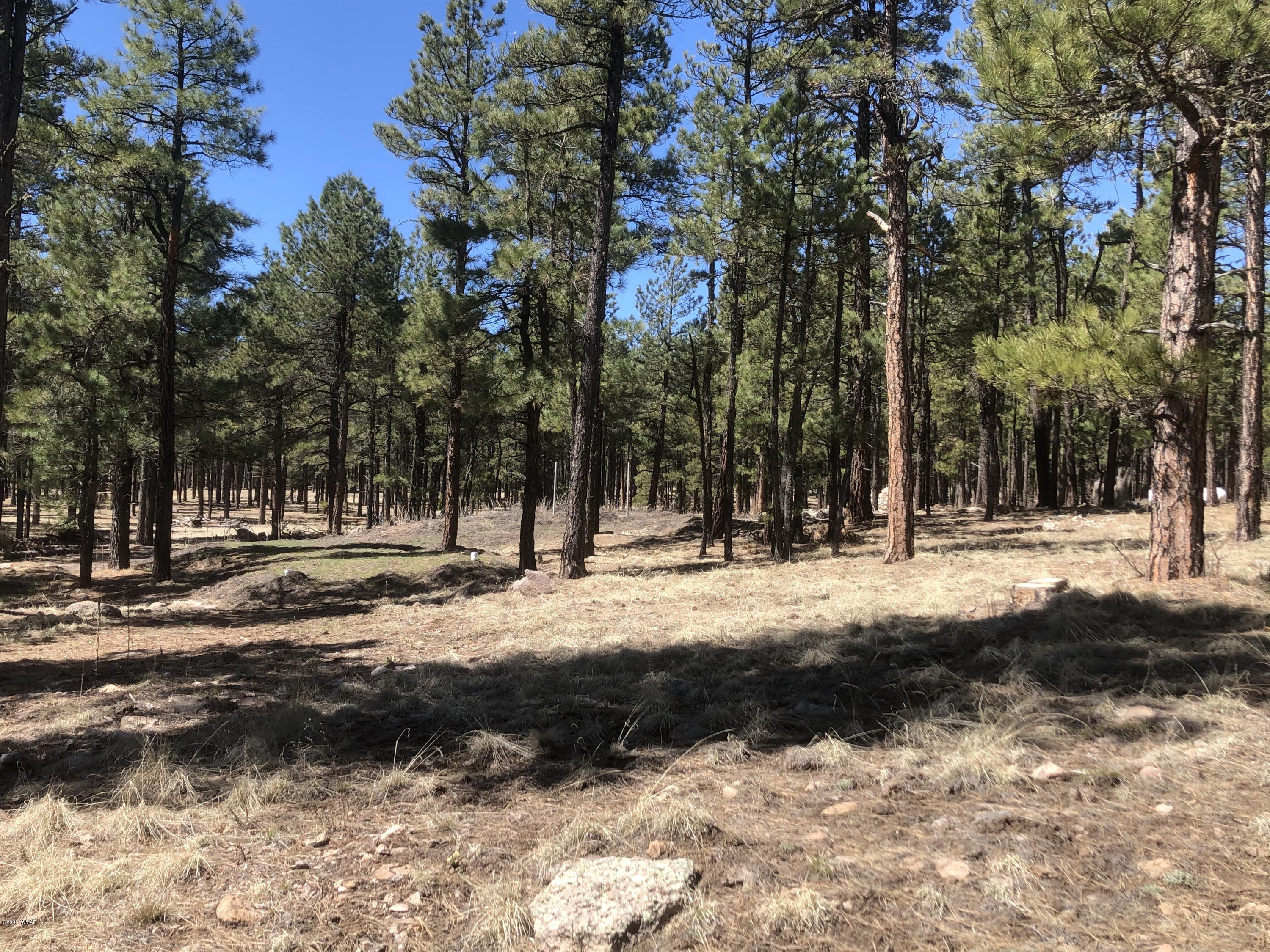 2 Cr 2115 Alpine Az 85920 Alpine, AZ 85920 - Photo 27 of 39