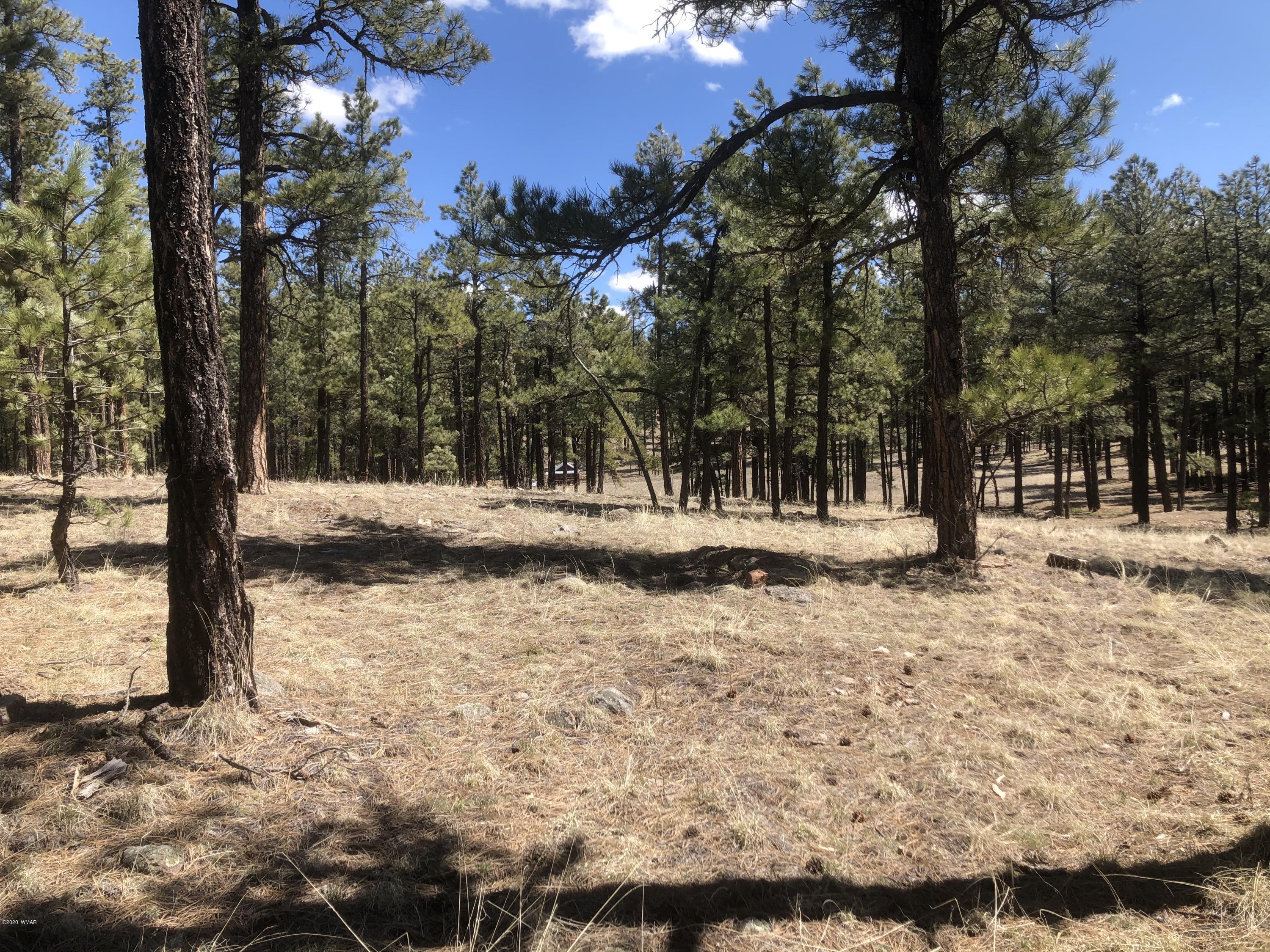 2 Cr 2115 Alpine Az 85920 Alpine, AZ 85920 - Photo 28 of 39