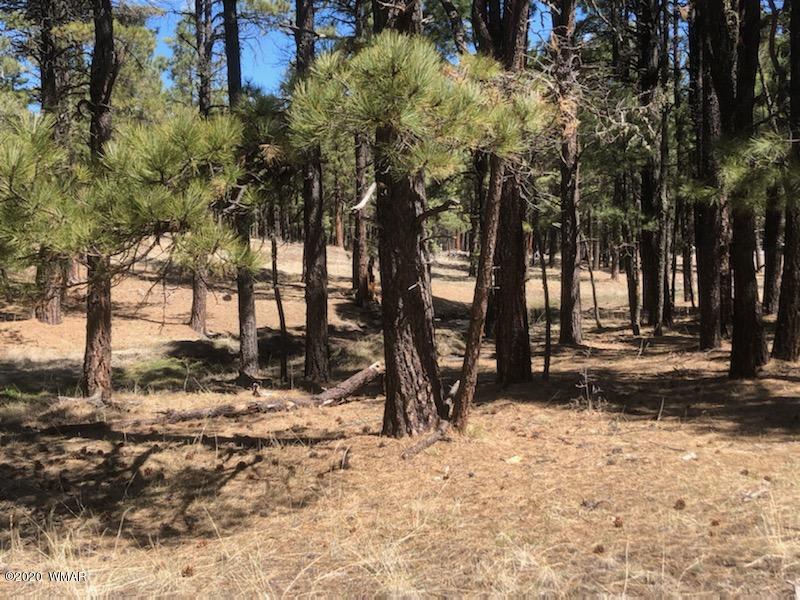 2 Cr 2115 Alpine Az 85920 Alpine, AZ 85920 - Photo 3 of 39