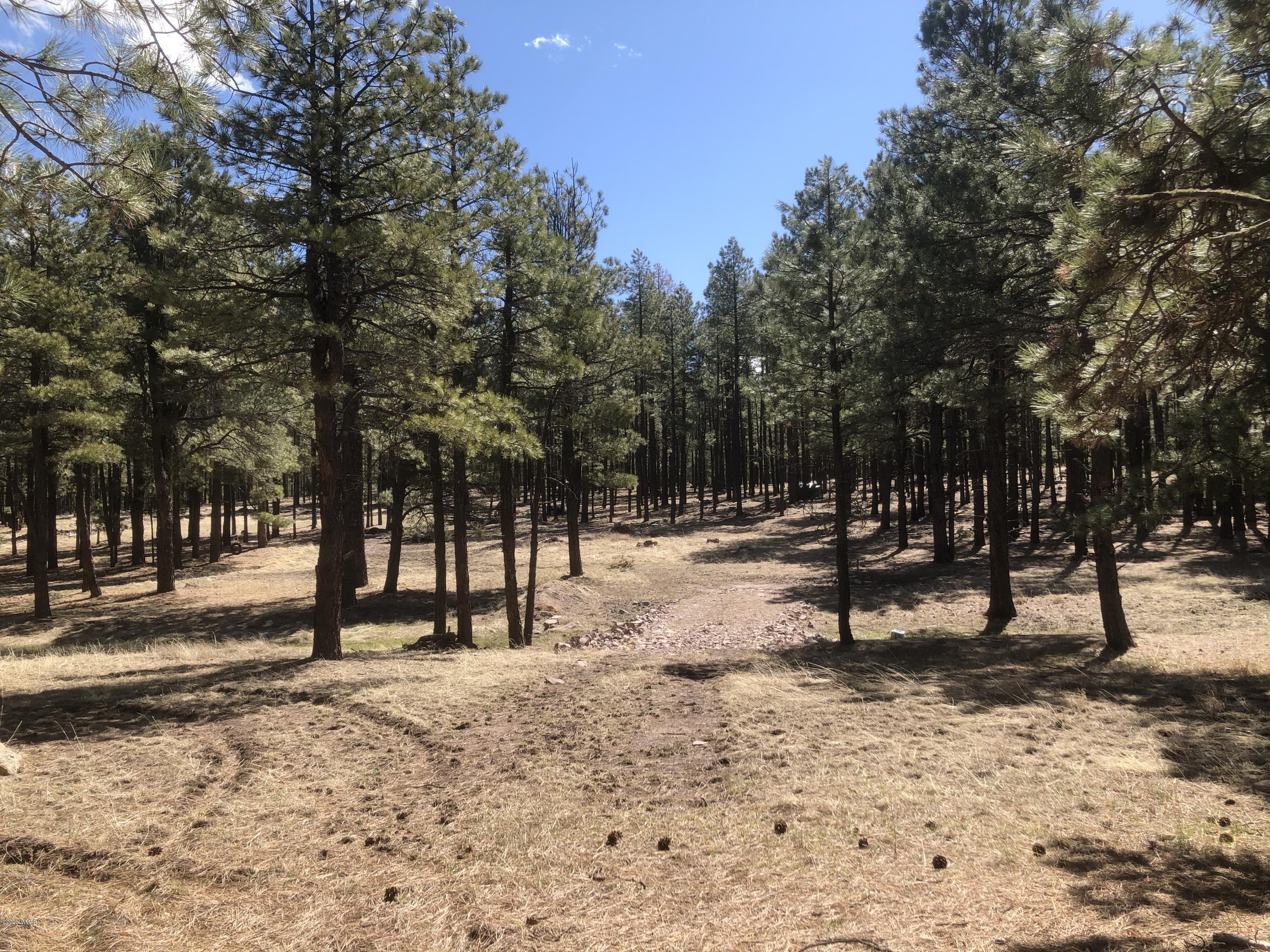 2 Cr 2115 Alpine Az 85920 Alpine, AZ 85920 - Photo 31 of 39