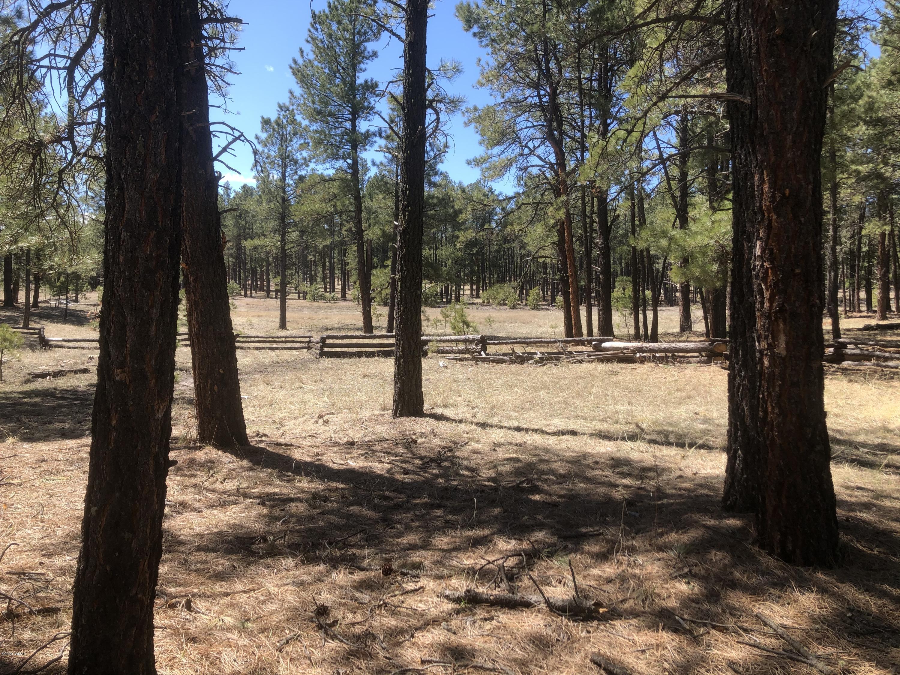2 Cr 2115 Alpine Az 85920 Alpine, AZ 85920 - Photo 32 of 39