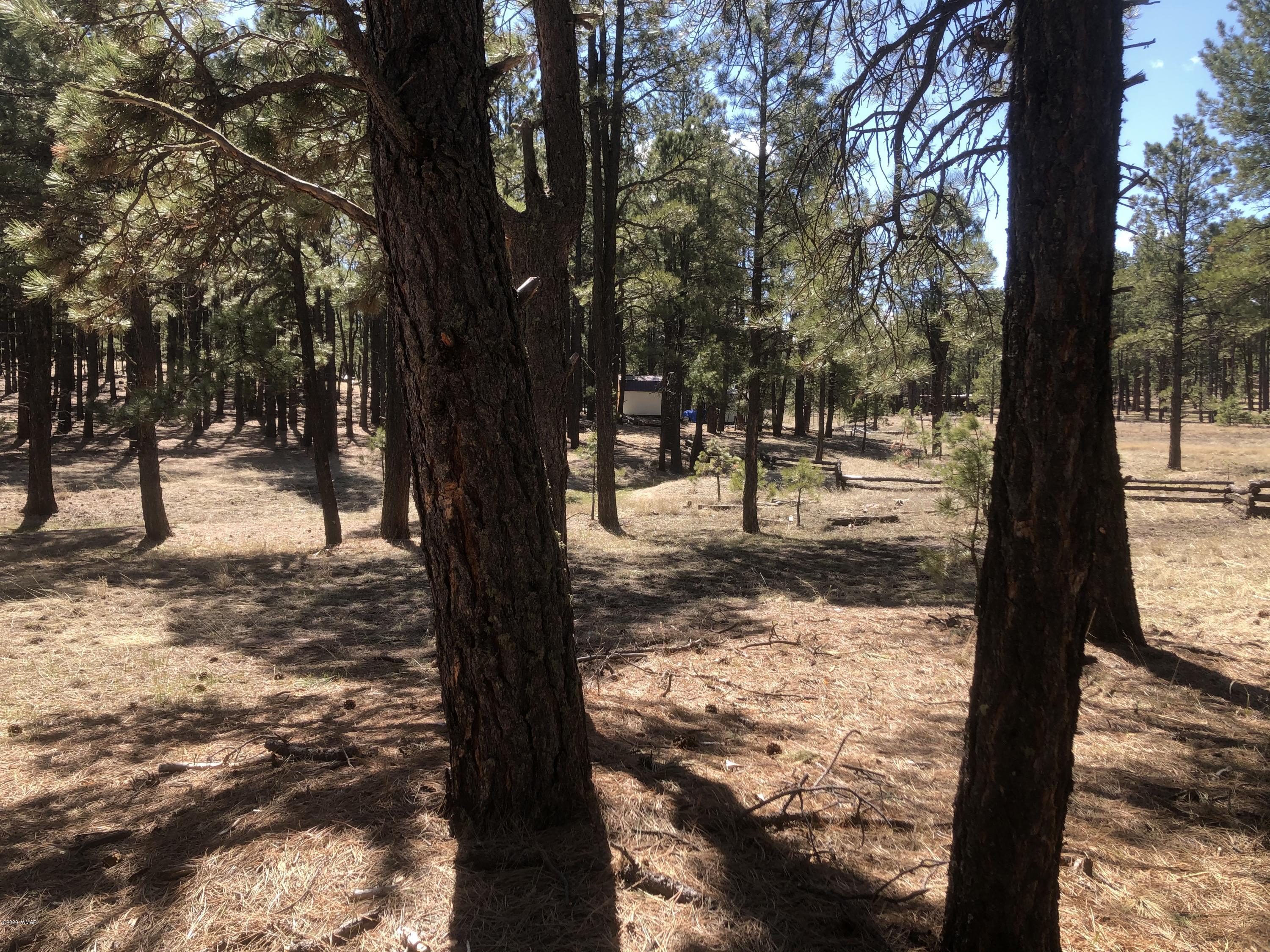2 Cr 2115 Alpine Az 85920 Alpine, AZ 85920 - Photo 33 of 39