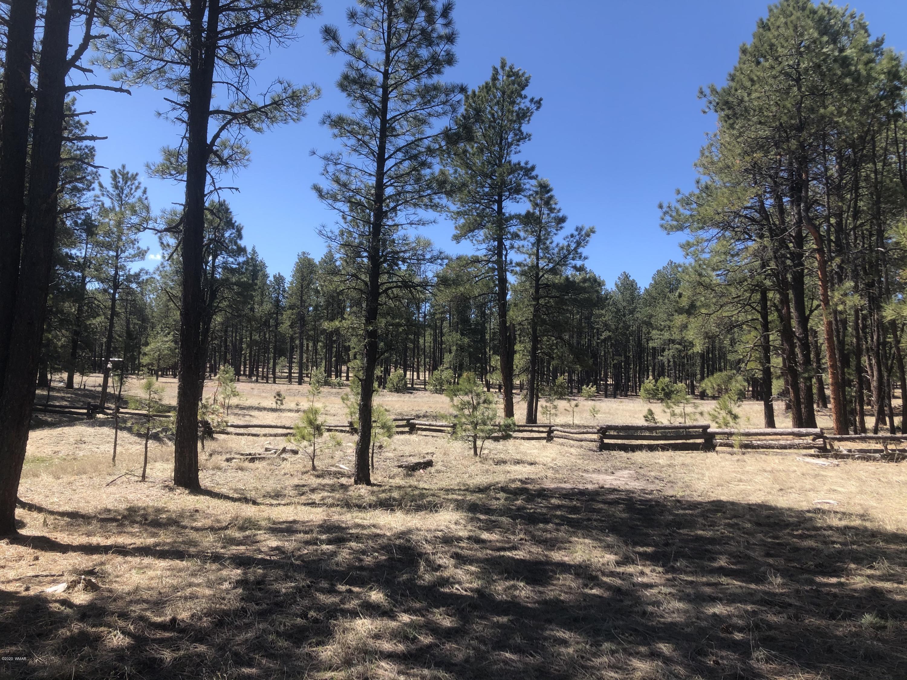 2 Cr 2115 Alpine Az 85920 Alpine, AZ 85920 - Photo 34 of 39