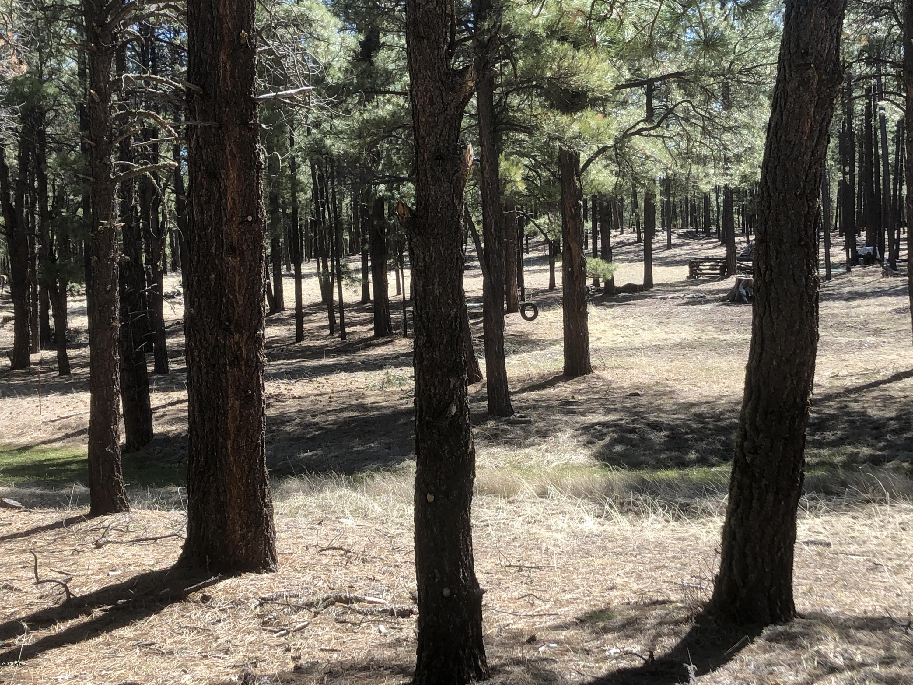2 Cr 2115 Alpine Az 85920 Alpine, AZ 85920 - Photo 35 of 39