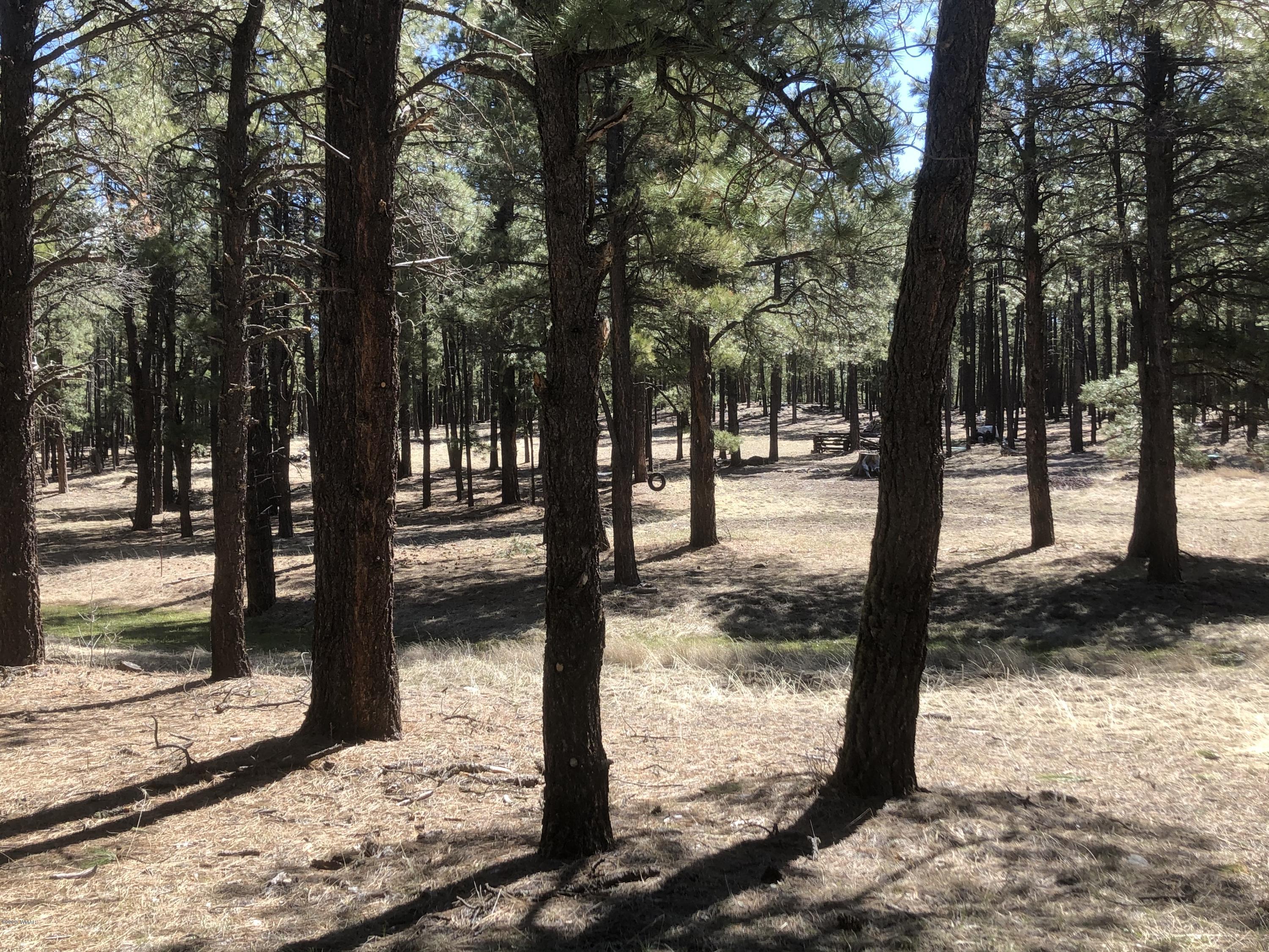 2 Cr 2115 Alpine Az 85920 Alpine, AZ 85920 - Photo 36 of 39