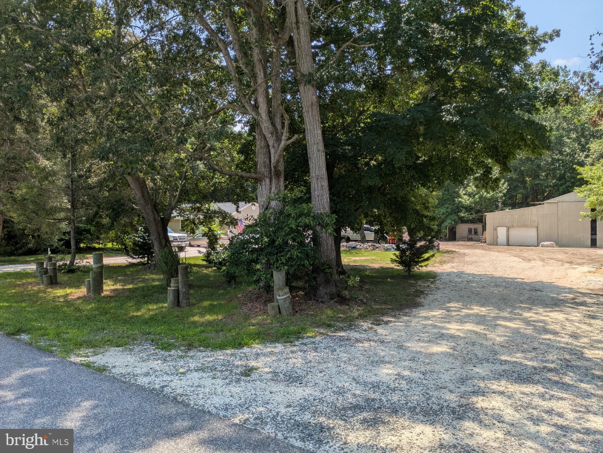 11920 Back Creek Road Bishopville, MD 21813 - Photo 30 of 38 a view of a park with tree s