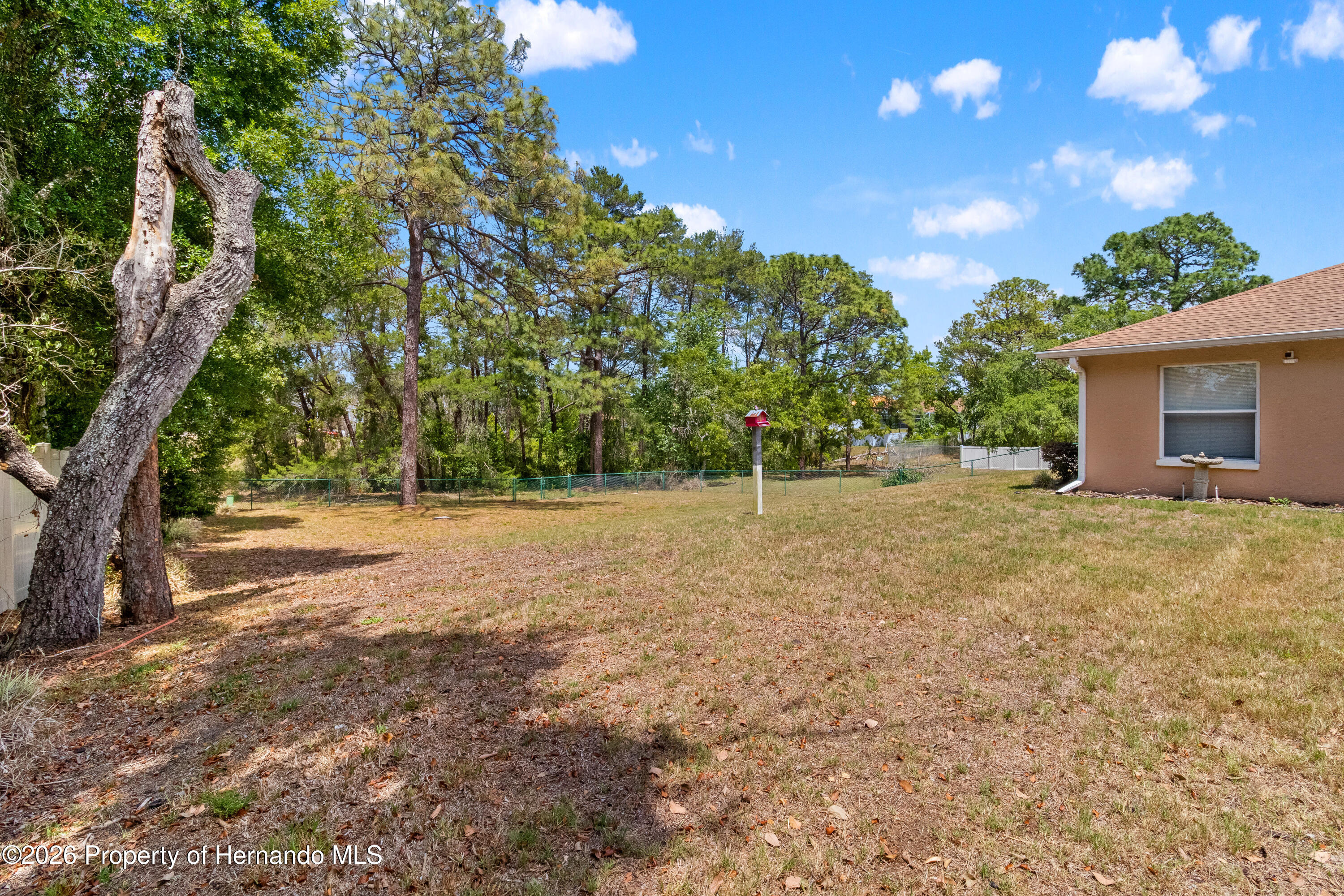 13363 Tracy Street Spring Hill, FL 34609 - Photo 51 of 56 IMG_8971