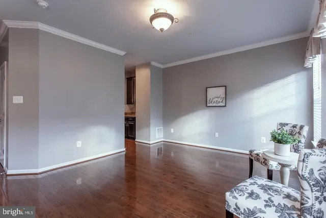 a view of a livingroom with wooden floor and a potted plant