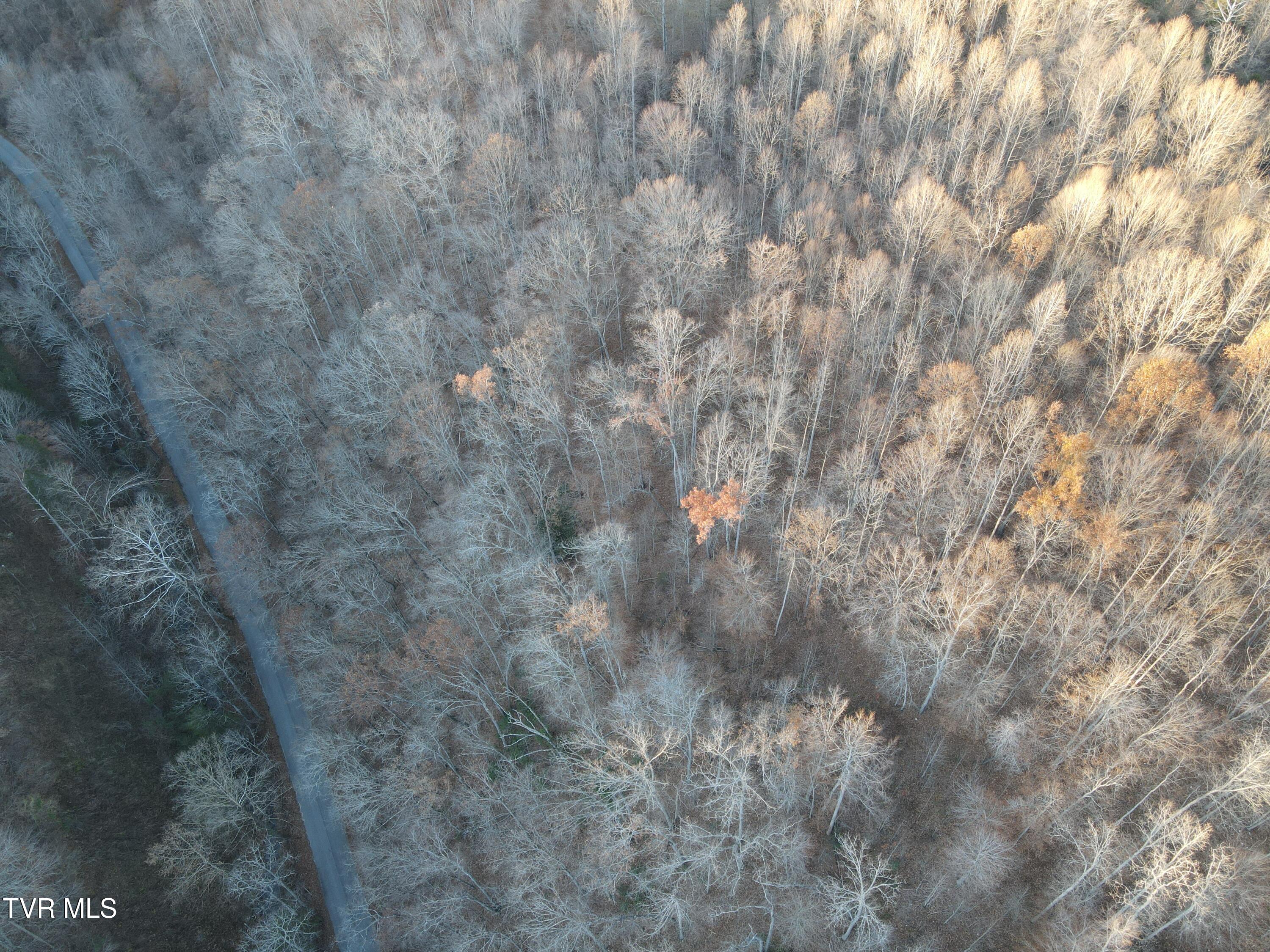 Tbd Tbd Sulphur Springs Road Pennington Gap, VA 24277 - Photo 29 of 39 DJI_0315