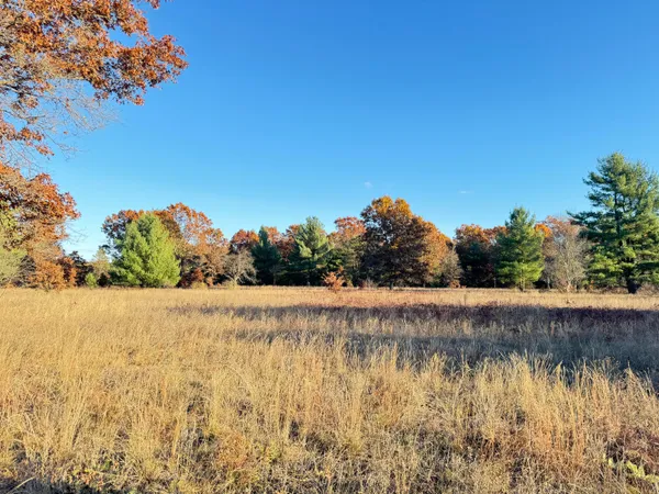 $193,000 | 12.86-ac Barberry Avenue, Newaygo, MI 49337