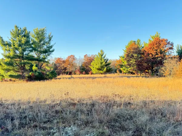 $193,000 | 12.86-ac Barberry Avenue, Newaygo, MI 49337