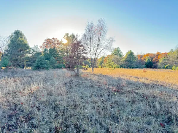 $193,000 | 12.86-ac Barberry Avenue, Newaygo, MI 49337