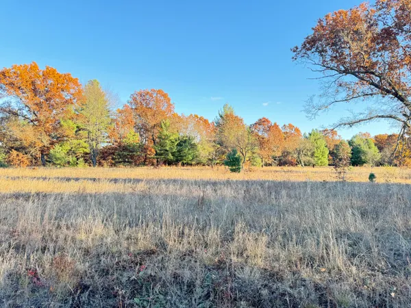 $193,000 | 12.86-ac Barberry Avenue, Newaygo, MI 49337