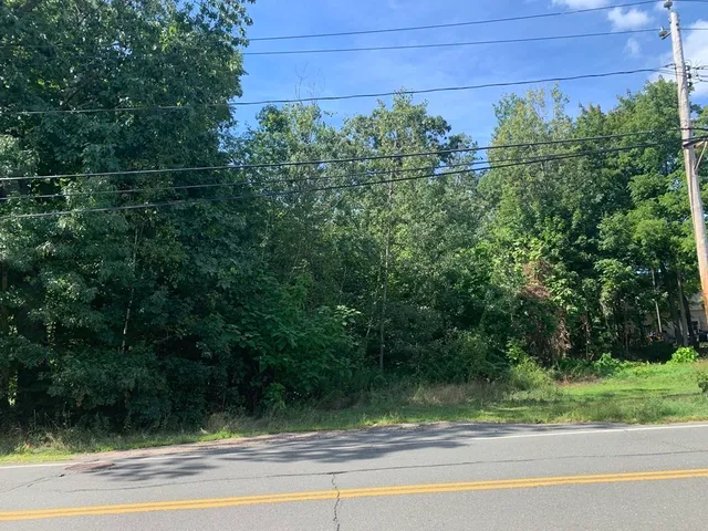 a view of a yard and car parked